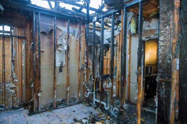 Professional Fire Damage Removal technician working in Hutchins, TX